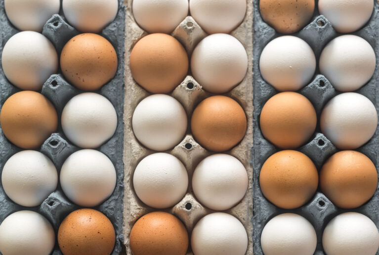 En Huevos Zamy trabajamos cada día para llevar a las familias Colombianas productos frescos, nutritivos y de la más alta calidad.